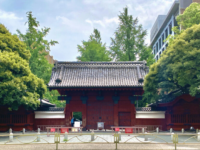東京大学 理科一類 現役合格 合格体験記